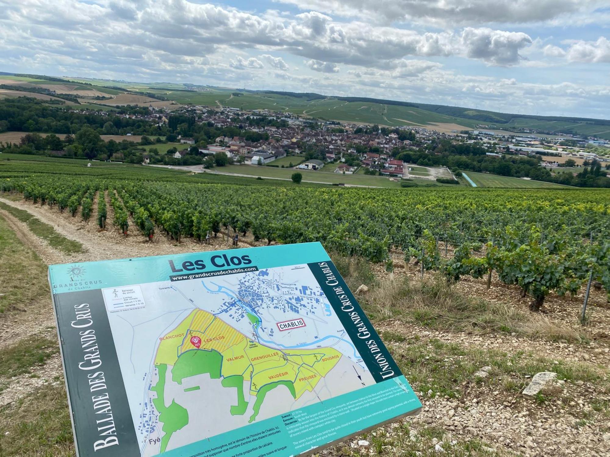 Le Merrain Gite Plein Coeur De Chablis Buitenkant foto